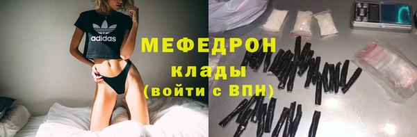 индика Алексин