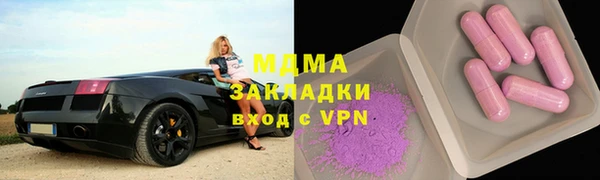 индика Алексин
