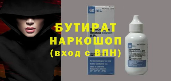 индика Алексин