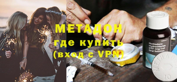 индика Алексин