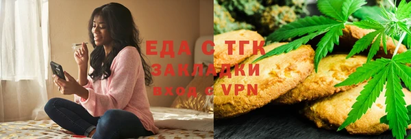 индика Алексин