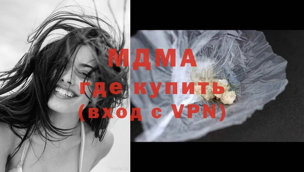 индика Алексин