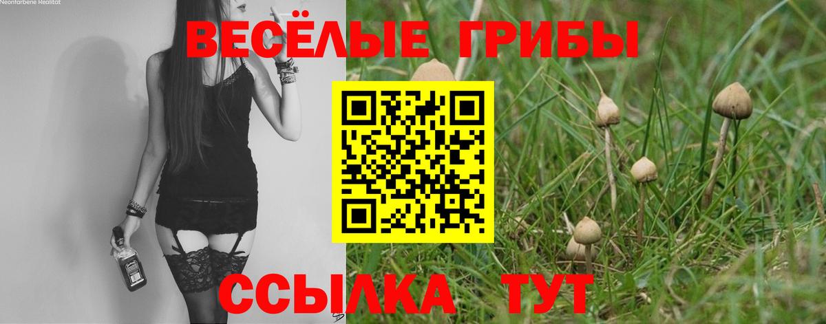 Псилоцибиновые грибы Cubensis Ахтубинск