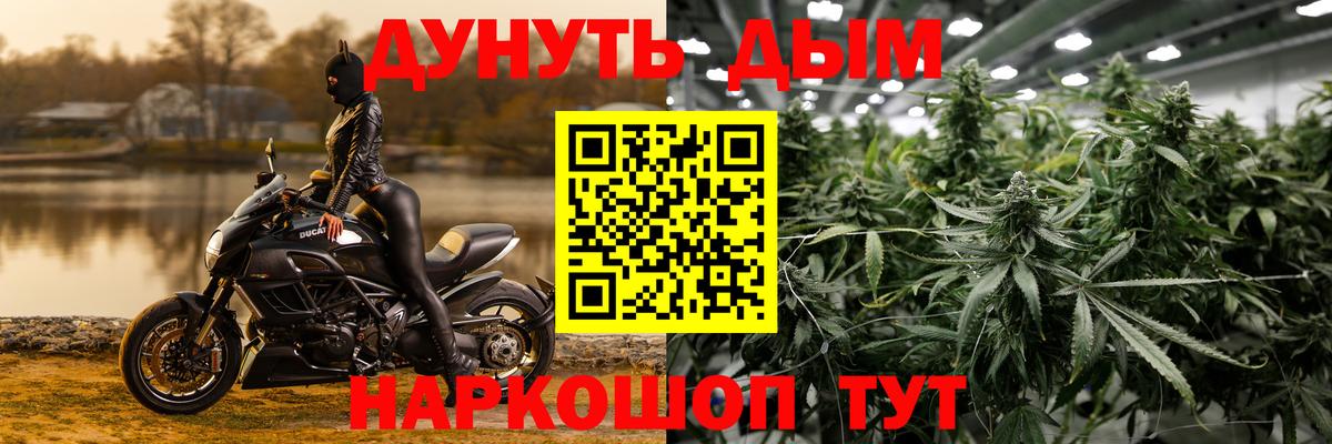 Шишки марихуана план  Марихуана тримм  Ахтубинск  Вход с VPN 
